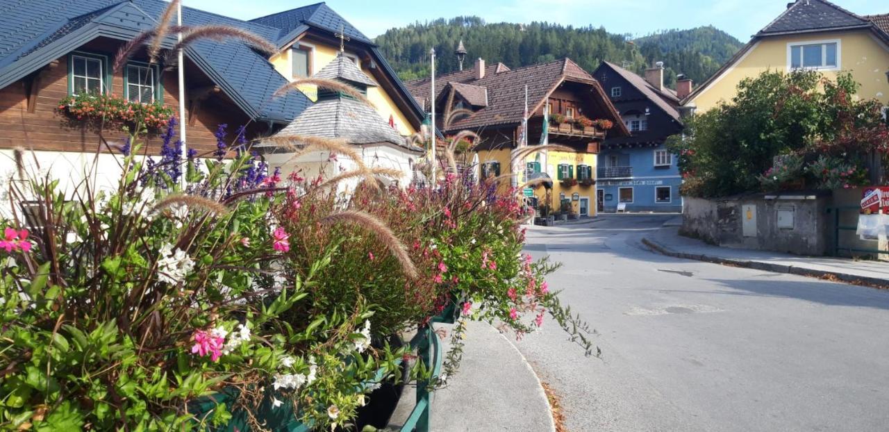 Willa Haus Danklmaier Oblarn Zewnętrze zdjęcie